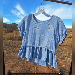 Blue Babydoll Blouse